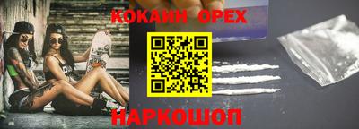 гидропоника Пенза