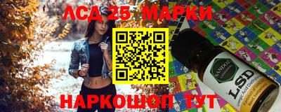 гидропоника Пенза