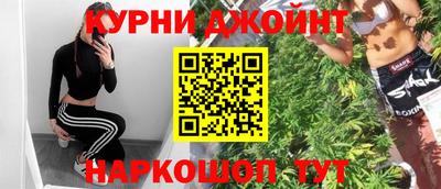 гидропоника Пенза